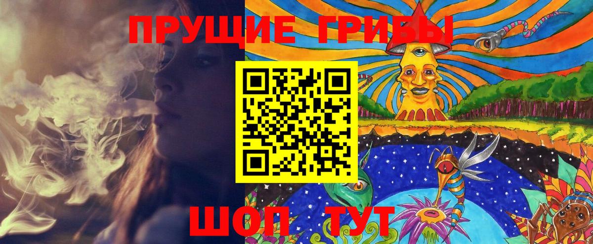 Галлюциногенные грибы Cubensis Зеленокумск